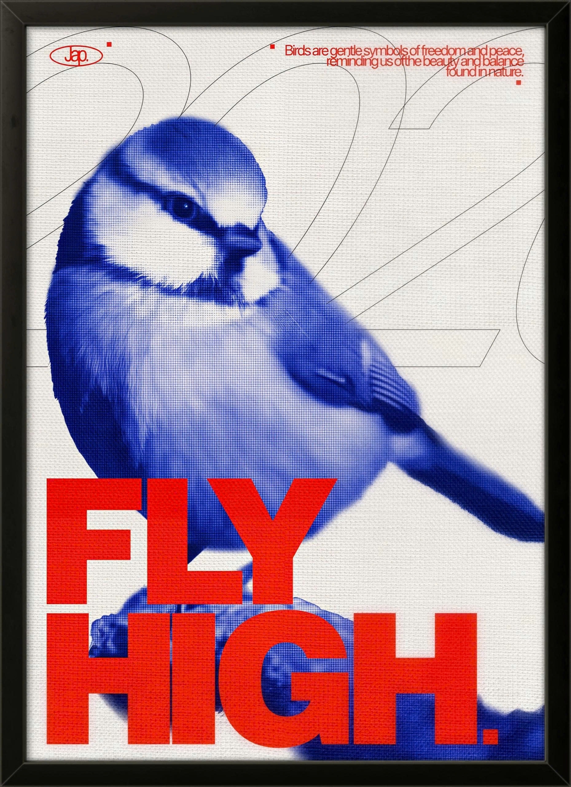 Fly High