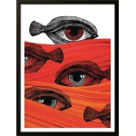 FISH EYES