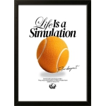 Life Is A Simulation
