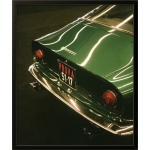 Green 51-17