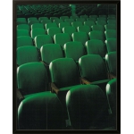 The Green
