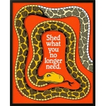 Shed What You No Longer Need – Retro Wisdom