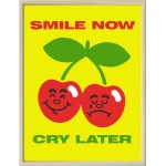 Smile Now - Cry Later