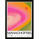Manachopsis