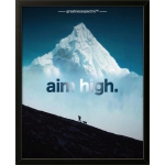 Aim High