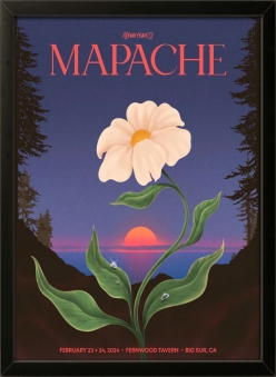 Mapache