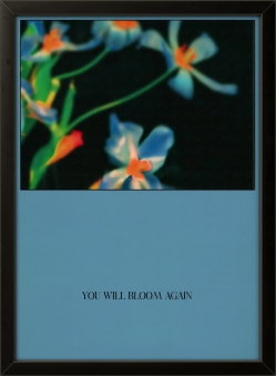 You Will Bloom Again