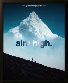 Aim High