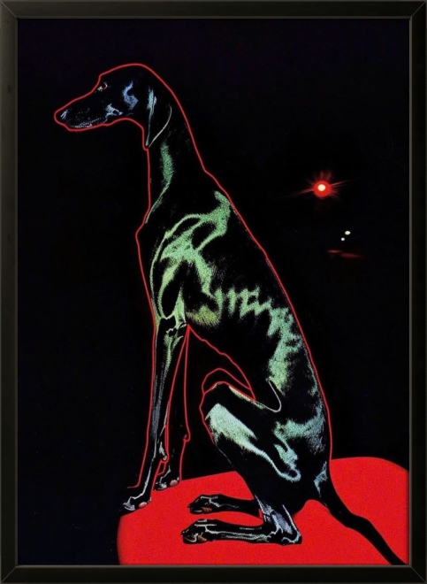 Black Dog