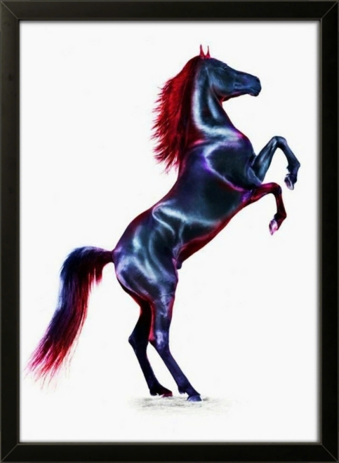 Horses No.1