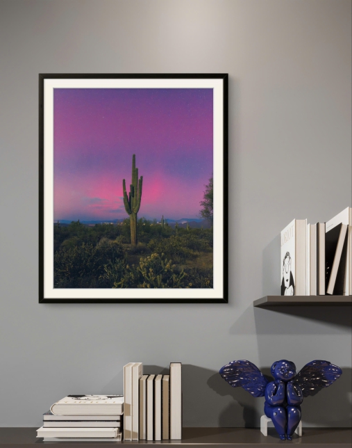 Saguaro Cactus