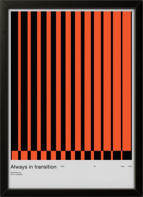 Always In Transition